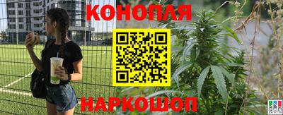 дмт Можга