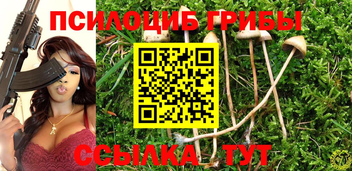 Псилоцибиновые грибы Psilocybe Янаул